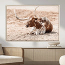 Texas Longhorn Wall Art Canvas Print – Framed Resting Bull by MyGreatCanvas | Canvas Wall Art Prints | Photo Prints & Wall Decor