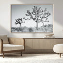 Joshua Tree Wall Art Canvas Print – Framed Black White