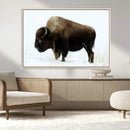 Bison Wall Art Canvas Print – Framed Western Wildlife