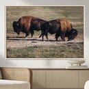 Bison Wall Art Canvas Print – Framed Western Wildlife Modern by MyGreatCanvas | Canvas Wall Art Prints | Photo Prints & Wall Decor