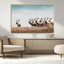 Elk Herd Wall Art Canvas Print – Framed Wildlife Photography