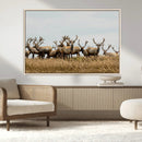 Elk Herd Wall Art Canvas Print – Framed Wildlife Photography