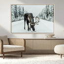 Moose Snow Wall Art Canvas Print – Framed Winter Wildlife