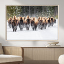 American Bison Herd Wall Art Canvas Print – Powerful Winter by MyGreatCanvas | Canvas Wall Art Prints | Photo Prints & Wall Decor