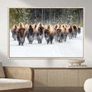 Bison Herd Scene Wall Art Canvas Print – Framed Western by MyGreatCanvas | Canvas Wall Art Prints | Photo Prints & Wall Decor