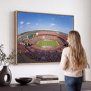 William Brice Stadium Wall Art Canvas Print – Stadium Crowd