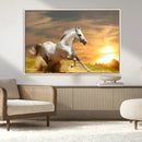 White Horse Running Canvas Sunset Wall Art by MyGreatCanvas | Canvas Wall Art Prints | Photo Prints & Wall Decor