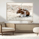 Majestic Longhorn Wall Art Canvas Print – Resting on Sunlit by MyGreatCanvas | Canvas Wall Art Prints | Photo Prints & Wall Decor