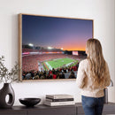 Dooley Stadium Wall Art, Sports Arena Canvas Print, Dooley