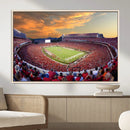 Dooley Stadium Wall Art, Sports Arena Canvas Print, Dooley by MyGreatCanvas | Canvas Wall Art Prints | Photo Prints & Wall Decor