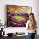 Dooley Stadium Wall Art, Sports Arena Canvas Print, Dooley