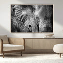 Wild Old Elephant Wall Art Canvas Print