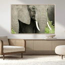 Wild Elephant Wall Art Canvas Print by MyGreatCanvas | Canvas Wall Art Prints | Photo Prints & Wall Decor