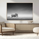 Elephand and Zebra Wall Art Canvas Print, Modern Artwork