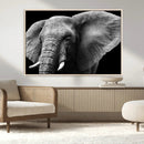 Big Elephant Close Up Wall Art Canvas Print