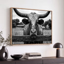 Black White Texas Longhorn Bull Canvas Wall Art, Western Ranch Cattle Photography Print, Rustic Farmhouse Cowboy Decor Artwork