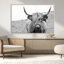 Newfoundland Cow Art Wall Art, Black White Cow Art Wall Art