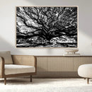 Mighty Angel Oak Wall Art | Angel Oak Tree Art Print by MyGreatCanvas | Canvas Wall Art Prints | Photo Prints & Wall Decor