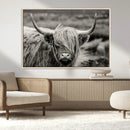 Cow Focus Canvas Wall Art Print by MyGreatCanvas | Canvas Wall Art Prints | Photo Prints & Wall Decor
