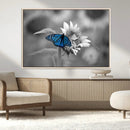 Blue Butterfly Black and White Canvas Wall Art by MyGreatCanvas | Canvas Wall Art Prints | Photo Prints & Wall Decor