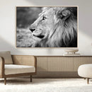 Lion Wall Art Canvas Print – Framed Majestic Wildlife by MyGreatCanvas | Canvas Wall Art Prints | Photo Prints & Wall Decor