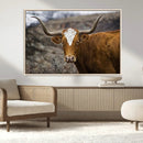 Texas Longhorn Canvas Wall Art - Longhorn Steer Canvas Wall by MyGreatCanvas | Canvas Wall Art Prints | Photo Prints & Wall Decor