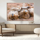 Lion Pair Wall Art Canvas Print – Framed Wildlife Scene with