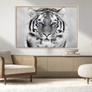 Black and White Tiger Wall Art Animal Canvas Print