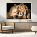 Lion and Lioness Wall Art Canvas Print – Framed African