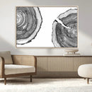Abstract Large Tree Rings – Minimalist Black and White Wood