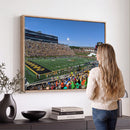 University of Missouri Tigers Football Team Print - Columbia