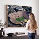 Michigan Wolverines Football Team Print - Ann Arbor Michigan