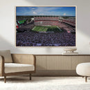 South Carolina Gamecocks Football Team Print - Columbia