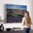South Carolina Gamecocks Football Team Print - Columbia