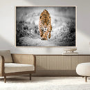 Jaguar Wall Art Canvas Print - Majestic Big Cat in Focused by MyGreatCanvas | Canvas Wall Art Prints | Photo Prints & Wall Decor