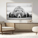 Resting Grizzly Bear Wall Art Canvas Print – Majestic Lazy by MyGreatCanvas | Canvas Wall Art Prints | Photo Prints & Wall Decor