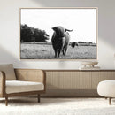 Black and White Highland Cow Wall Art Canvas Print | Rustic