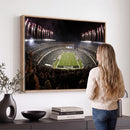 Eagles Field Stadium Wall Art - Philadelphia Eagles Football