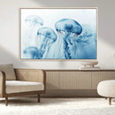 Blue Jellyfish Wall Art Canvas Print
