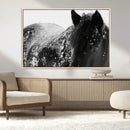Black Horse in Snow Canvas Print | Winter Horse Wall Art |