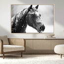 Horse Canvas Print - Winter Horse Snow Wall Art Canvas Print