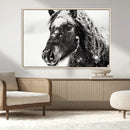 Framed Black and White Horse Wall Art | Ready to Hang and by MyGreatCanvas | Canvas Wall Art Prints | Photo Prints & Wall Decor