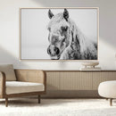 White Horse Wall Art | Ready to Hang and Framed | Winter