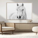 Majestic White Horse Wall Art | Ready to Hang and Framed |