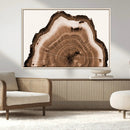 Rustic Wood Rings Wall Art | Nature-Inspired Tree Ring