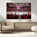Carolina Hurricanes Ice Hockey Stadium Wall Art, Carolina