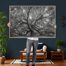 Majestic Angel Oak Tree Black and White Canvas Print – Multi by MyGreatCanvas | Canvas Wall Art Prints | Photo Prints & Wall Decor