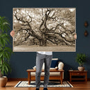 Sepia Framed Angel Oak Tree Wall Art - 3-Panel Canvas