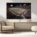 Houston Cougars Football Team Print - Houston TDECU Stadium