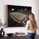 Houston Cougars Football Team Print - Houston TDECU Stadium